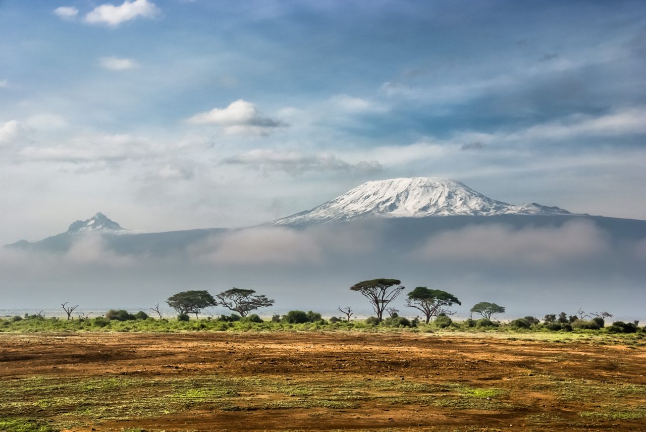 The snow-capped summit of Kilimanjaro rising above clouds and flat-topped acacias