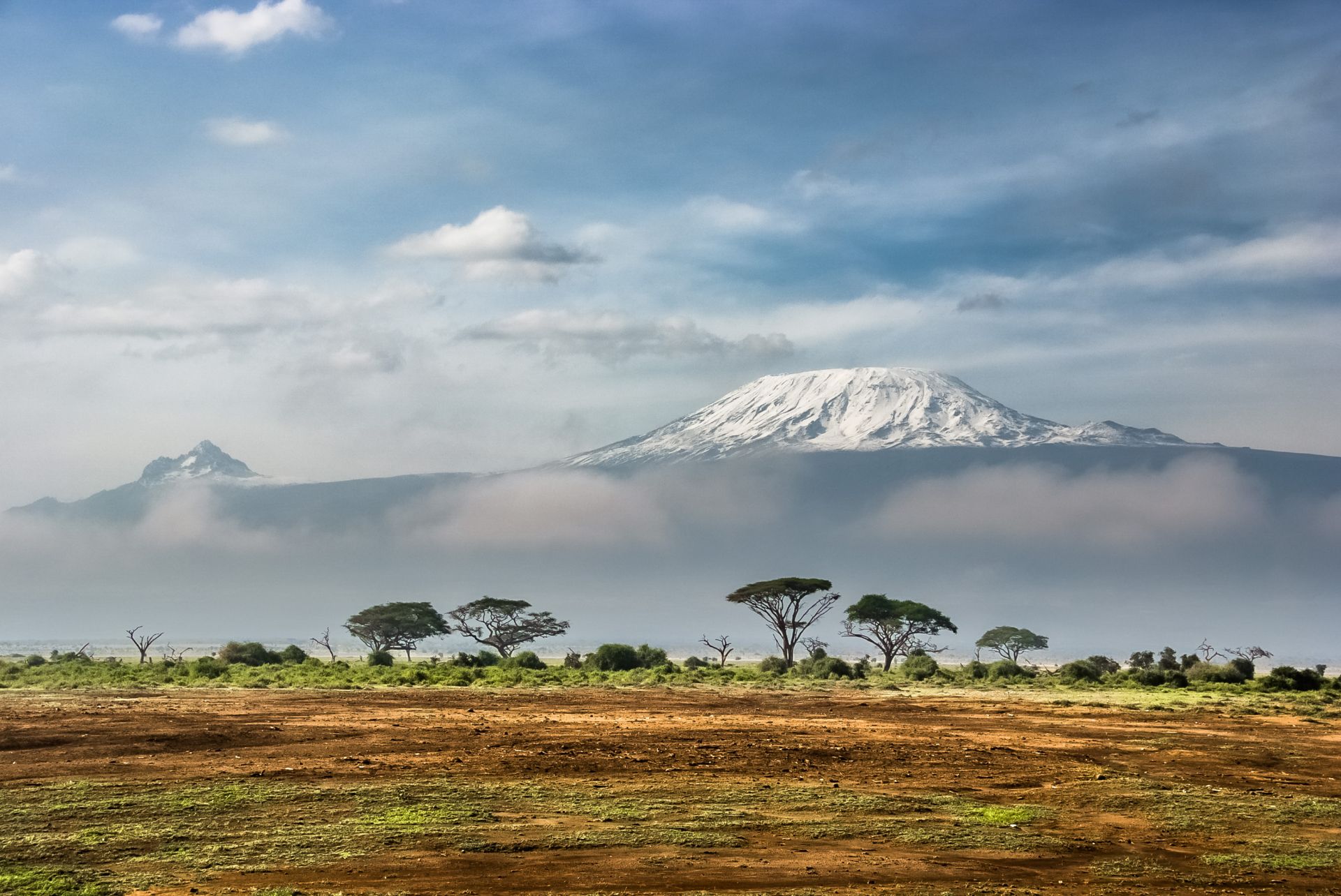 The snow-capped summit of Kilimanjaro rising above clouds and flat-topped acacias