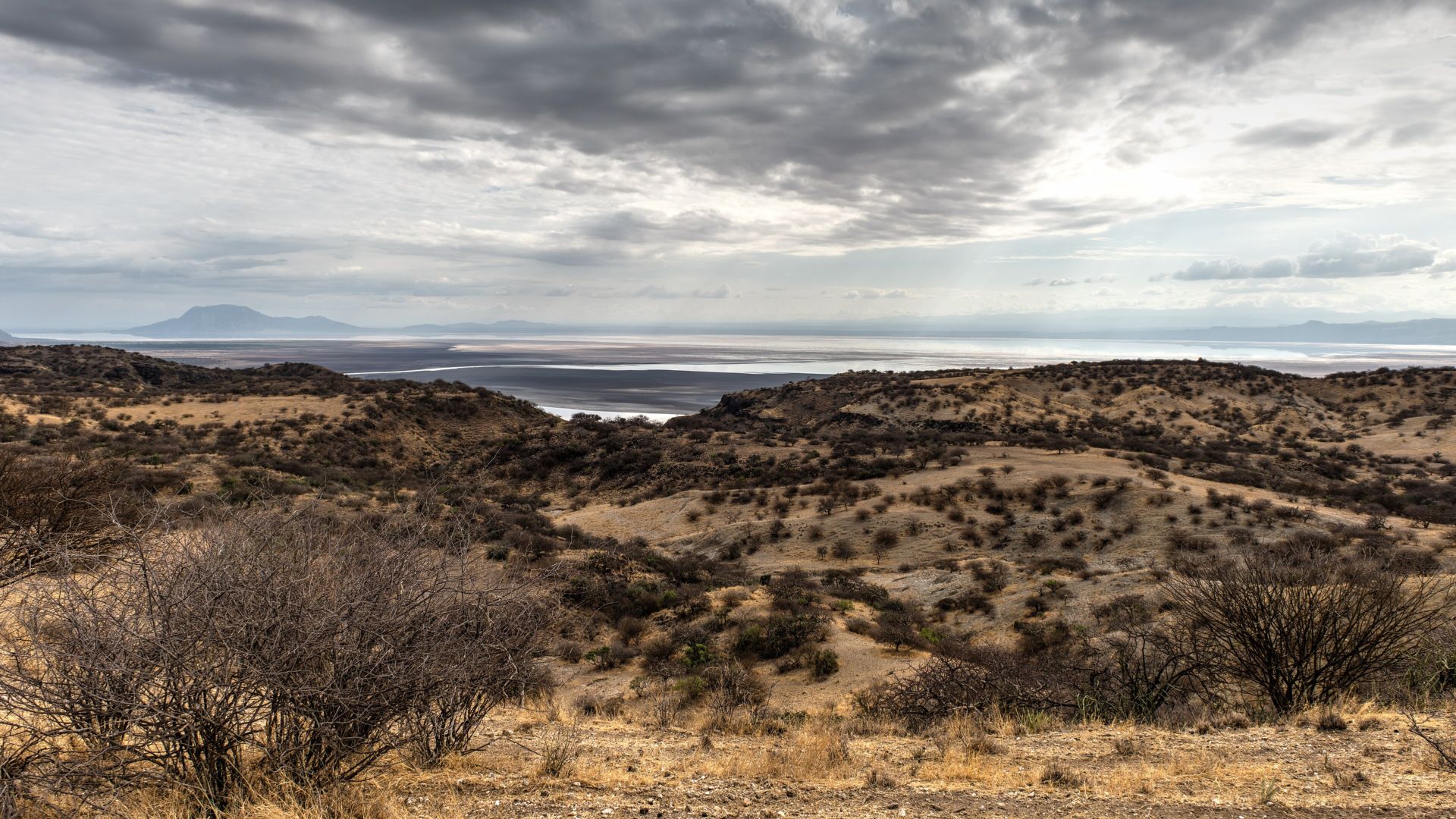 Dry Rift Valley hills running down to the shore of Lake Natron