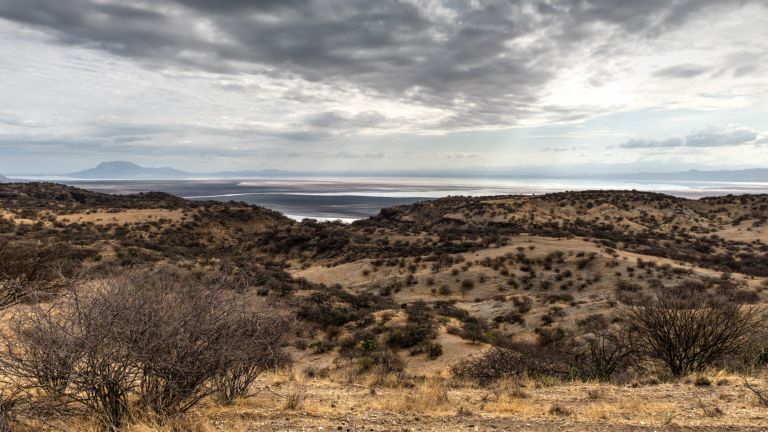 Dry Rift Valley hills running down to the shore of Lake Natron