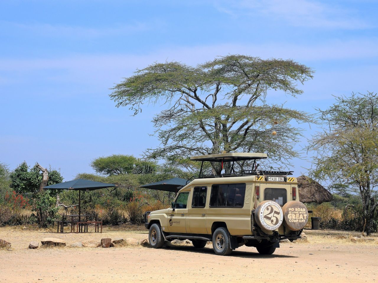 A safari vehicle parked under a flat-topped acacia