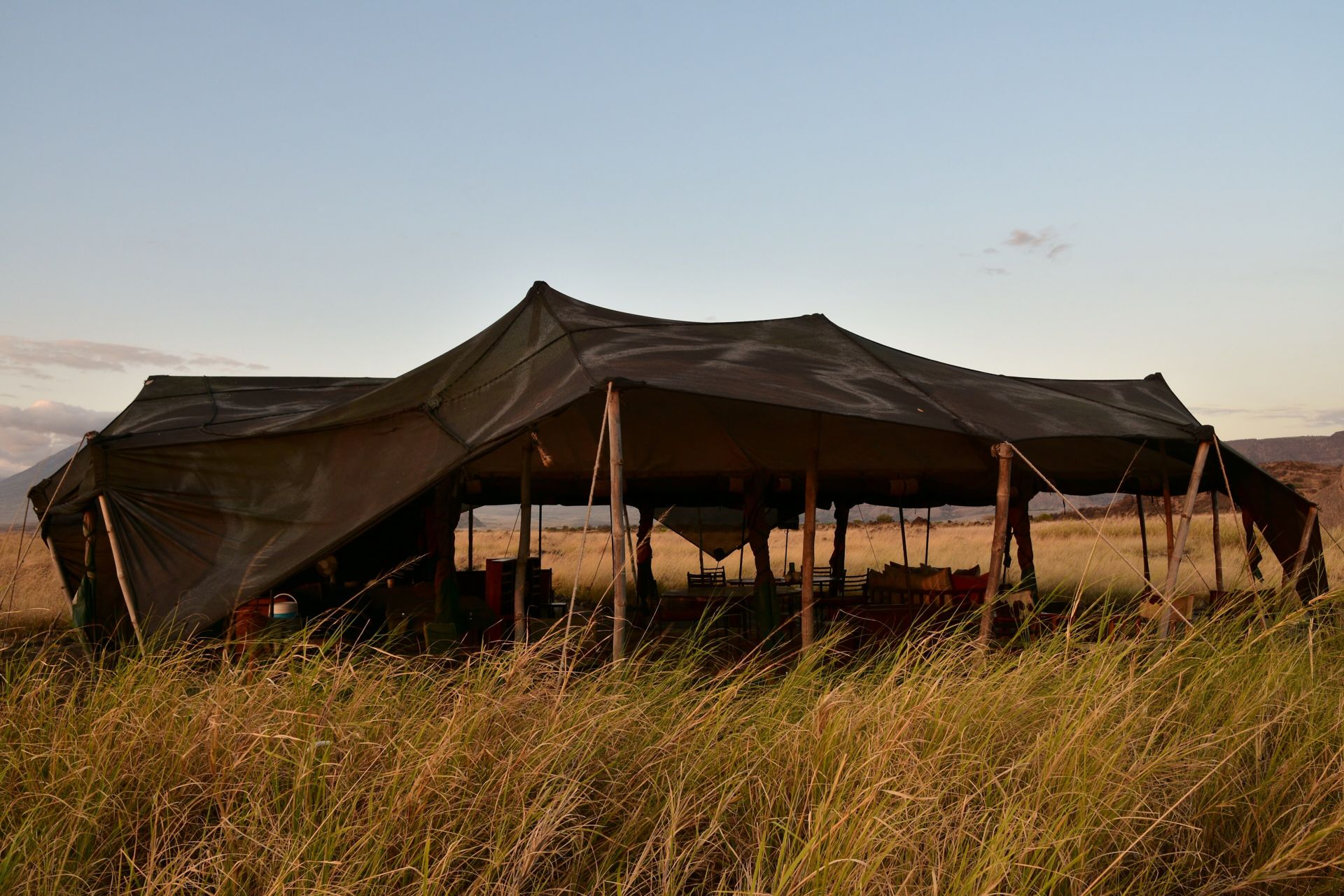 A large canvas safari tent in tall grass at dusk