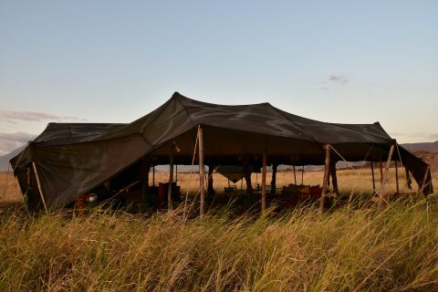 A large canvas safari tent in tall grass at dusk