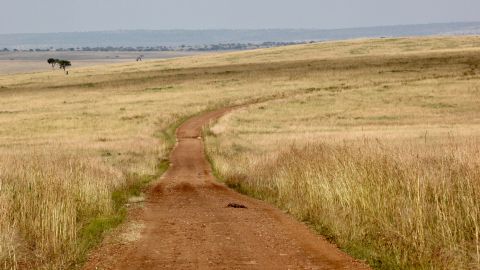 A narrow red footpath winding through tall golden grass