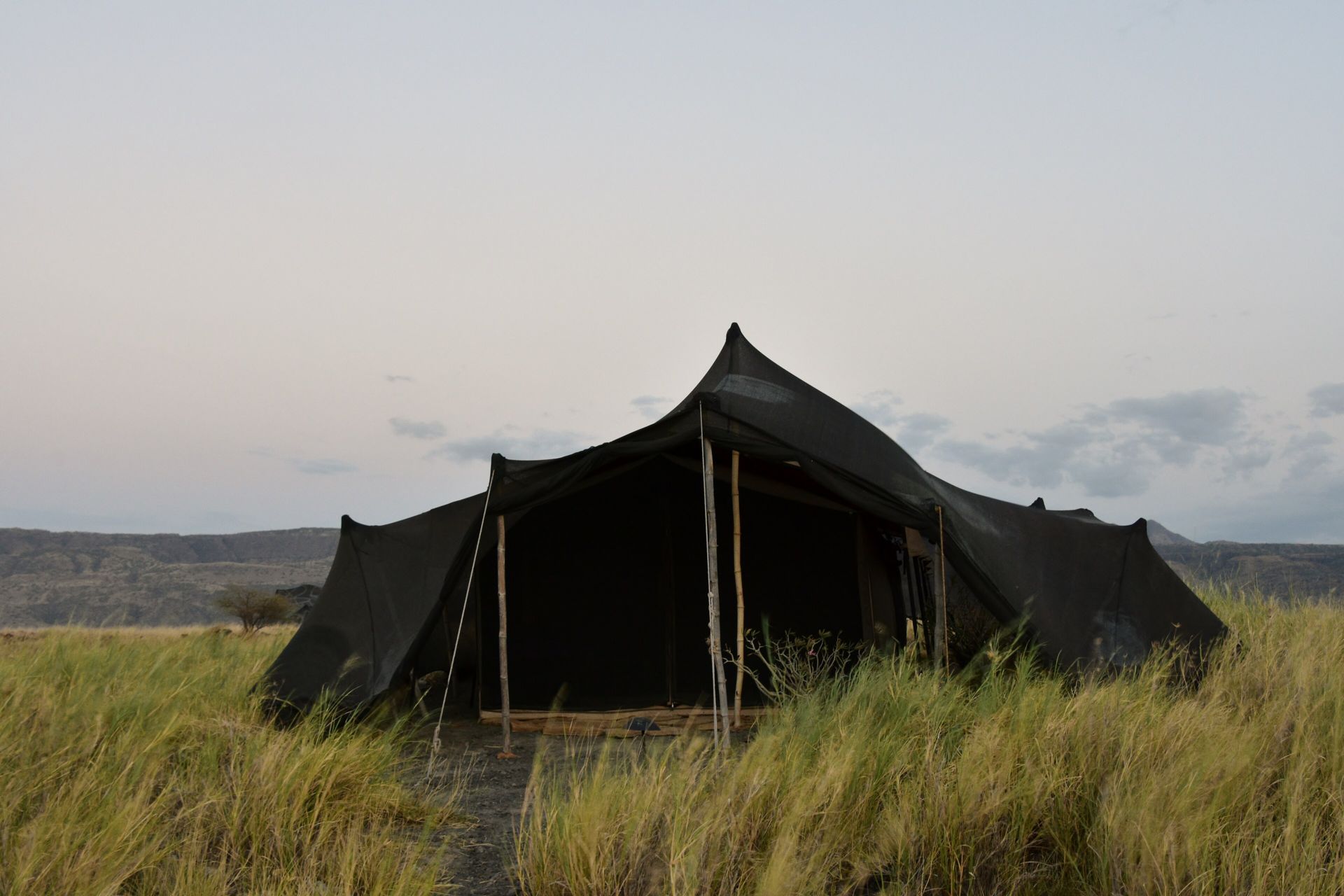 A canvas safari tent standing in grassland in evening light